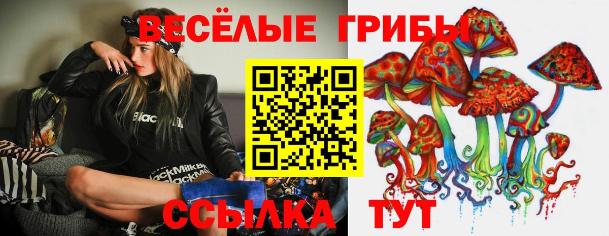 Псилоцибиновые грибы Psilocybine cubensis  Галлюциногенные грибы Psilocybe  Вход с VPN  Элиста 